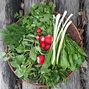 سبزی فروشی اسماعیل