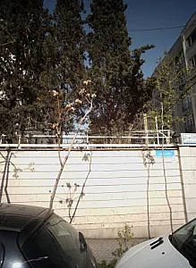دکتر محمد تخت روانچی