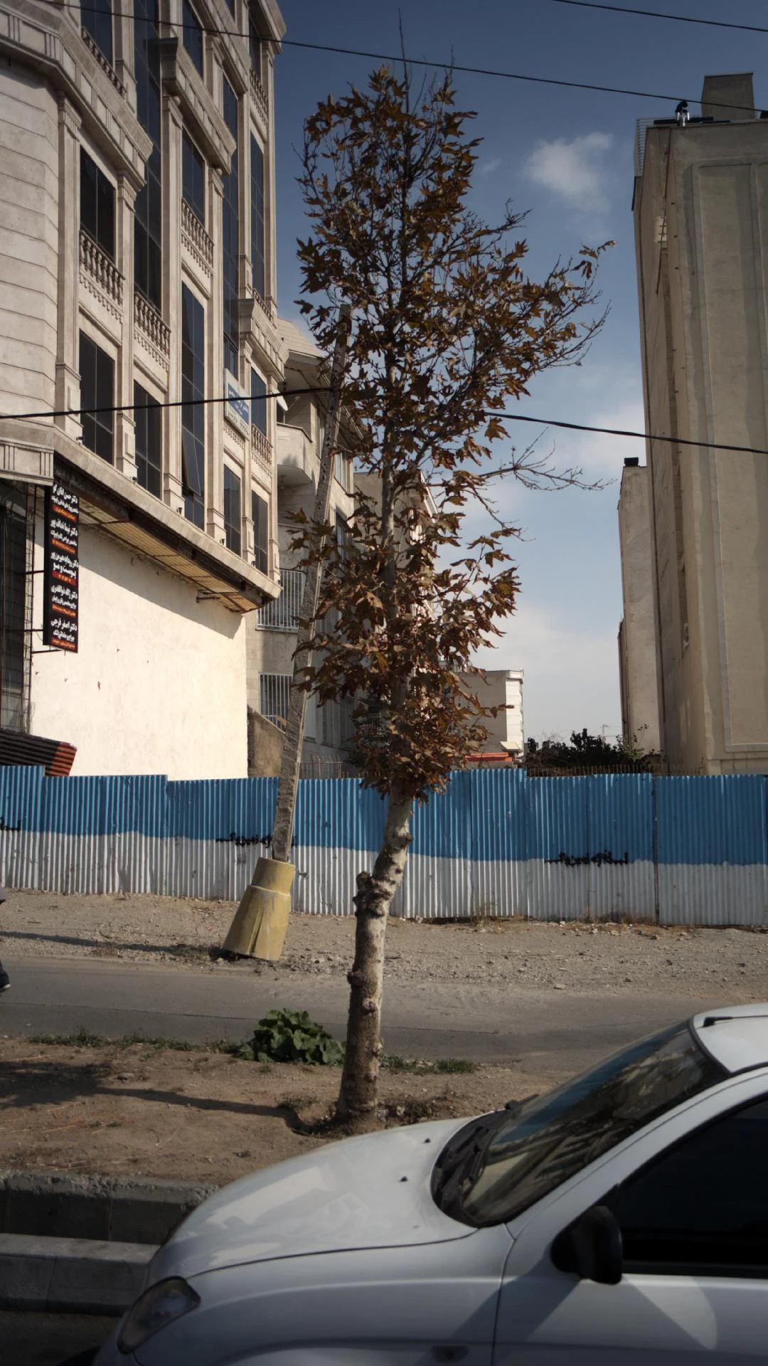 دکتر یلدا دادپور و دکتر حسن اذان گو در تهران