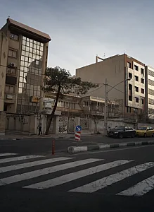 دکتر مجید هاشمی پناه