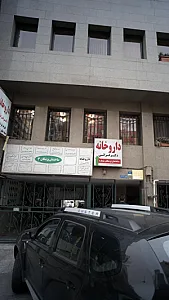 دکتر نوشین شکوهی نژاد