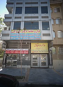 دکتر شادی مرجوی