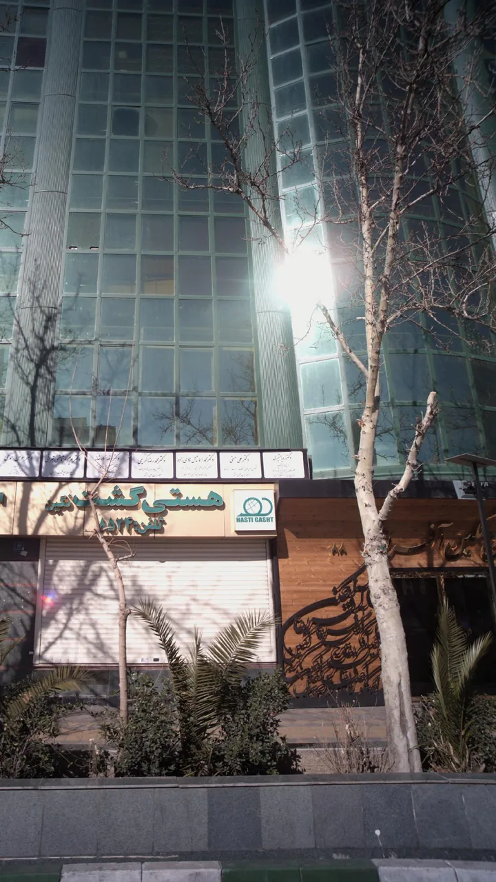 دکتر رویا مشیری - تصویر 2