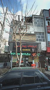 دکتر حبیب الله آقا میری