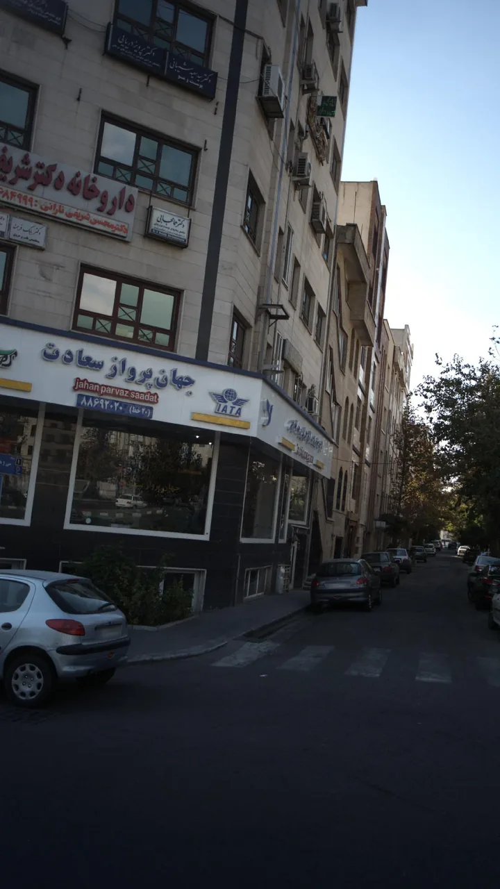 دکتر سید سعید شیبانی