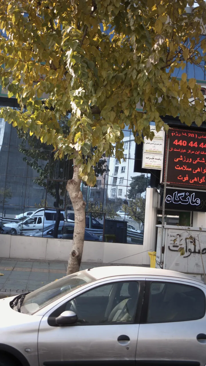 دکتر هدی میرزا حسین کاشانی