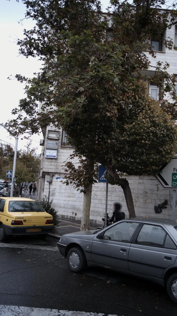 دکتر فردین رشید فرخی