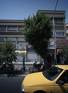 گالری طلا بارانا