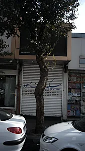 زرگری مسعود