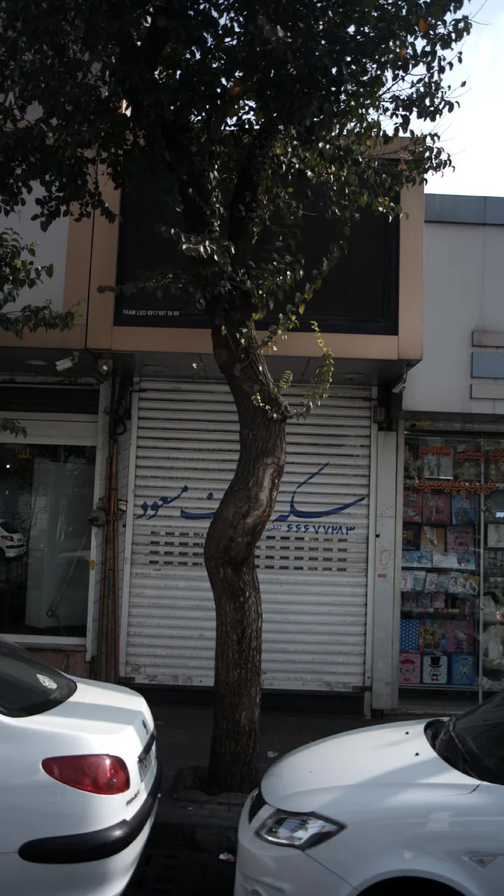 زرگری مسعود