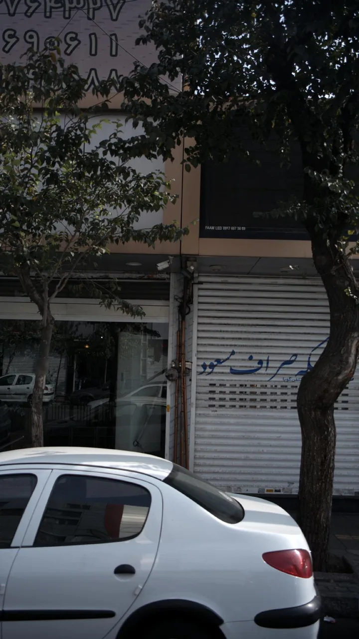 زرگری مسعود - تصویر 2