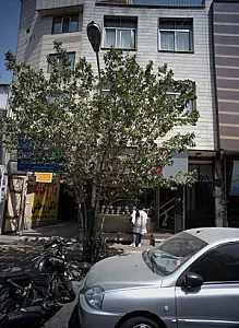 زرگری