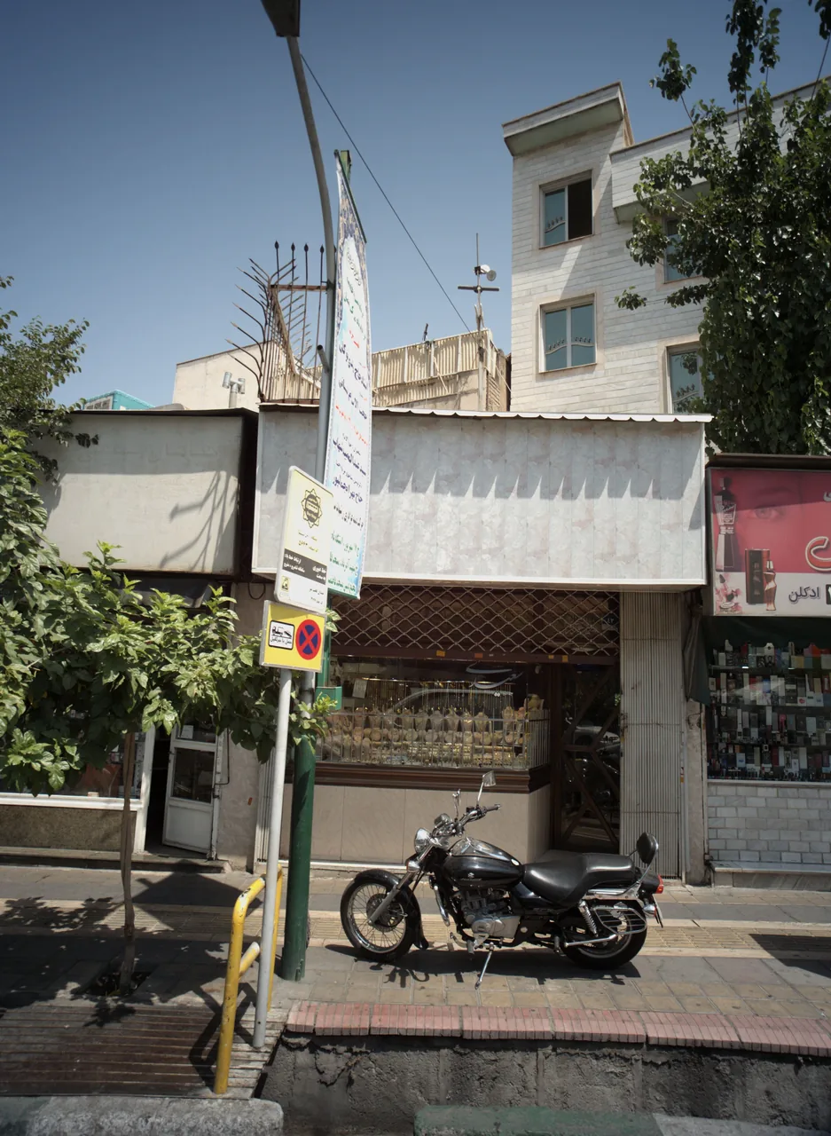 زرگری سعیدی