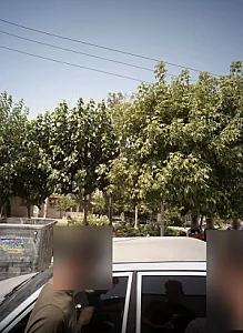 فرش فروشی