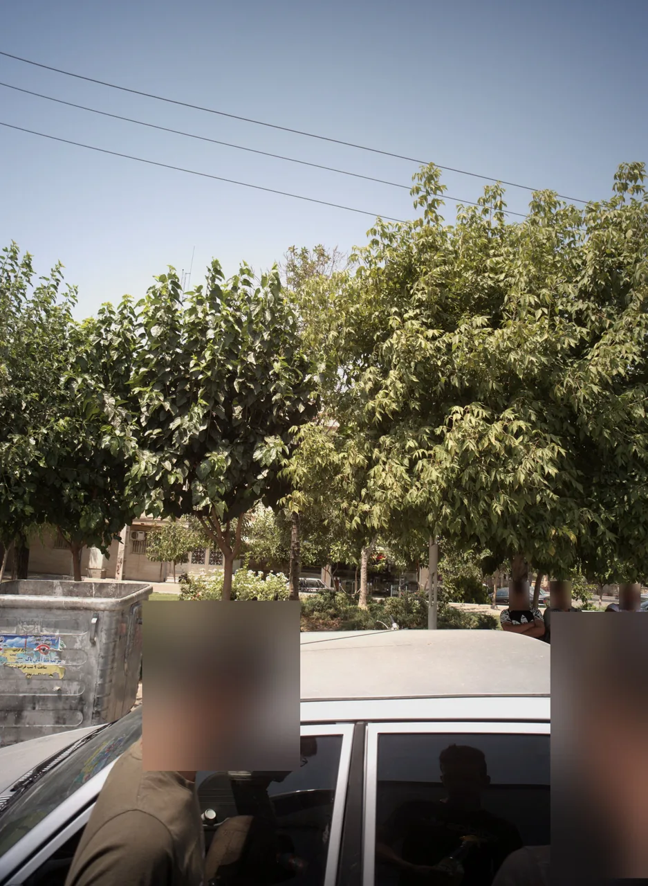 فرش فروشی