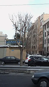 هنرستان دخترانه ساعی