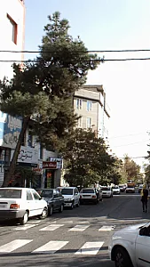 درمانگاه مادران
