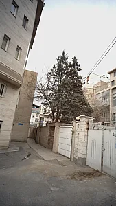 درمانگاه خیریه شهدا