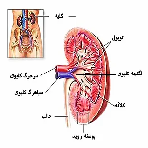 دیالیز دارالشفاء سیدالشهدا (ع)