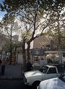 جواهری میخک طلائی