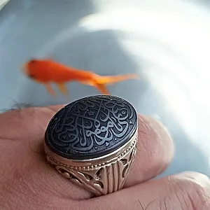 گالری مهدی