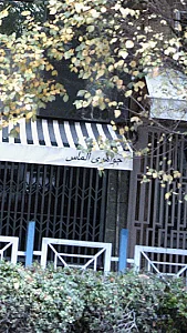 جواهری الماس