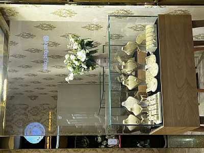 گیومه گلد گالری (طلا فروشی)