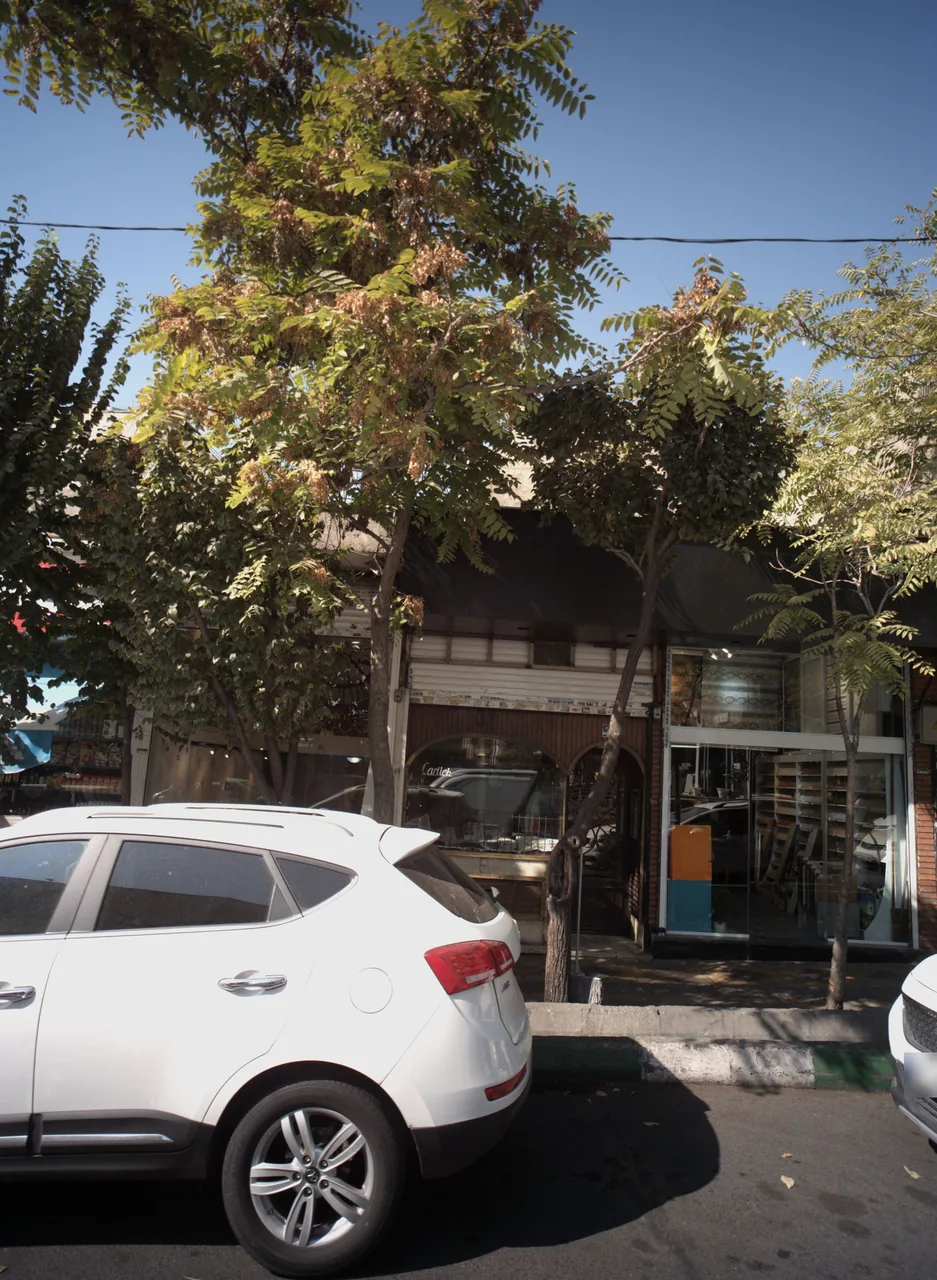 کارتیه