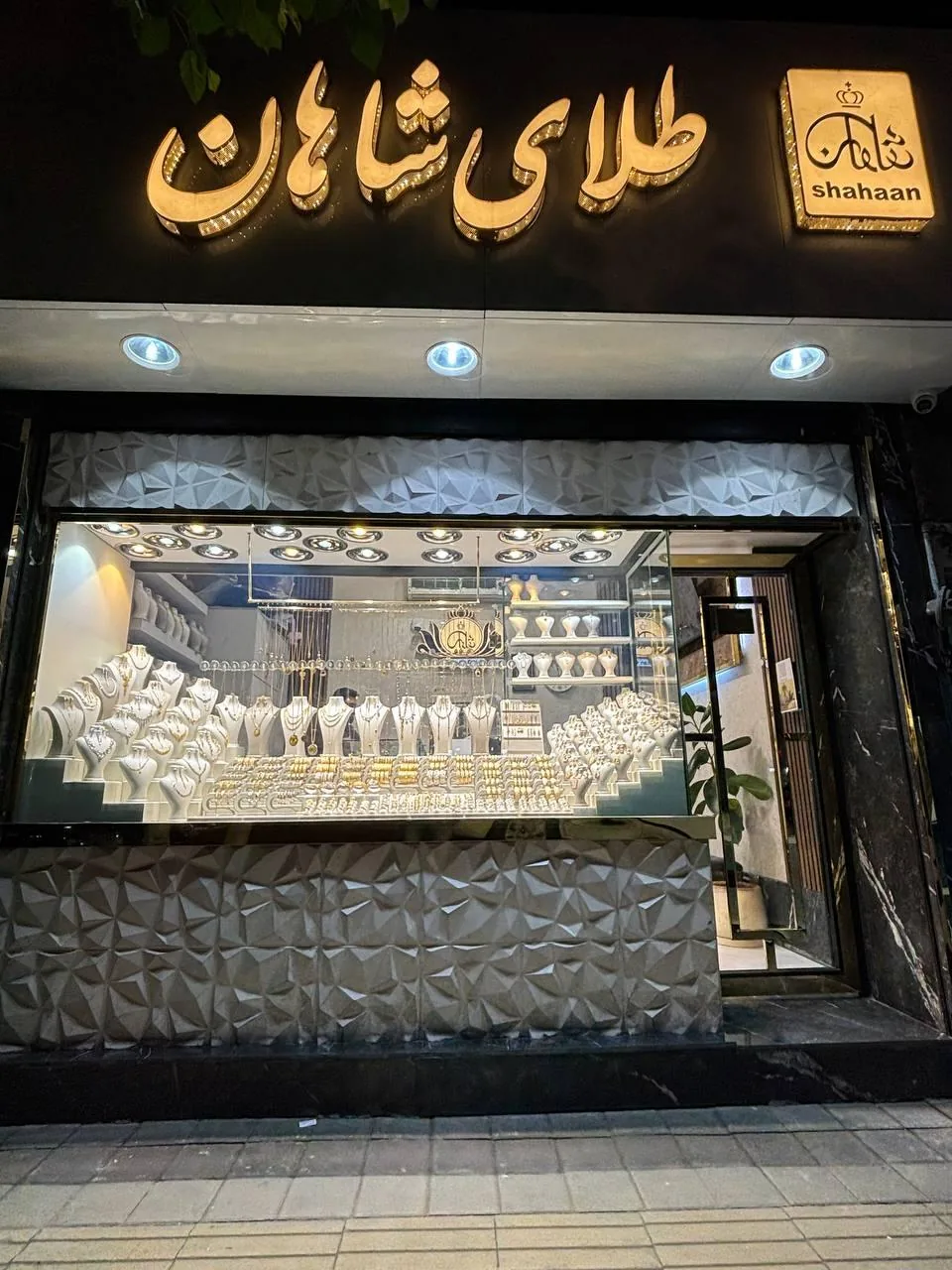 طلای شاهان - تصویر 3