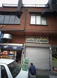 گالری یانی