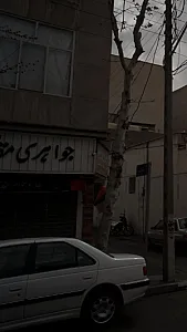 جواهری مقدم