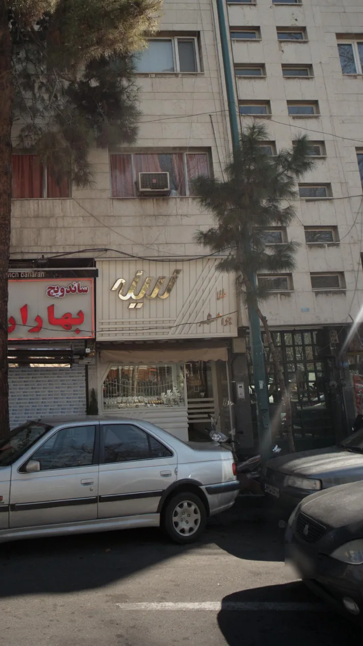 طلا و جواهر زرینه - تصویر 3
