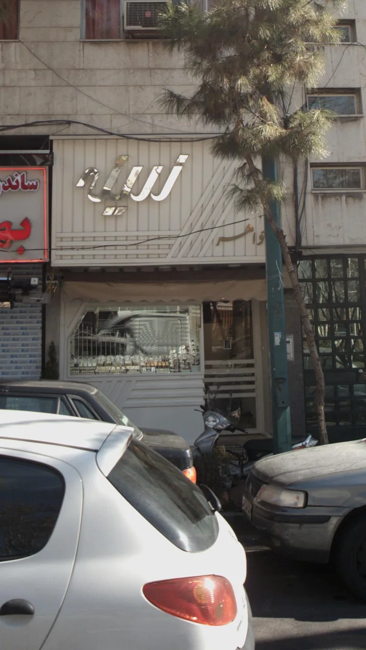 طلا و جواهر زرینه - تصویر 4