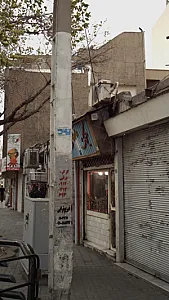 جواهری میخک