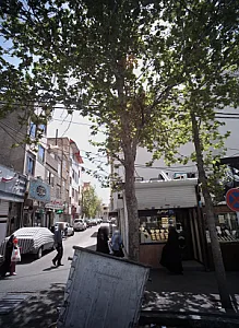 جواهری پارسا