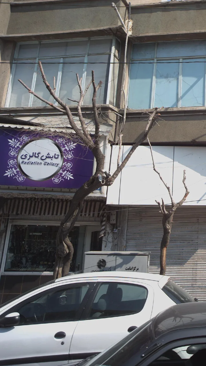 تابش گالری - تصویر 4