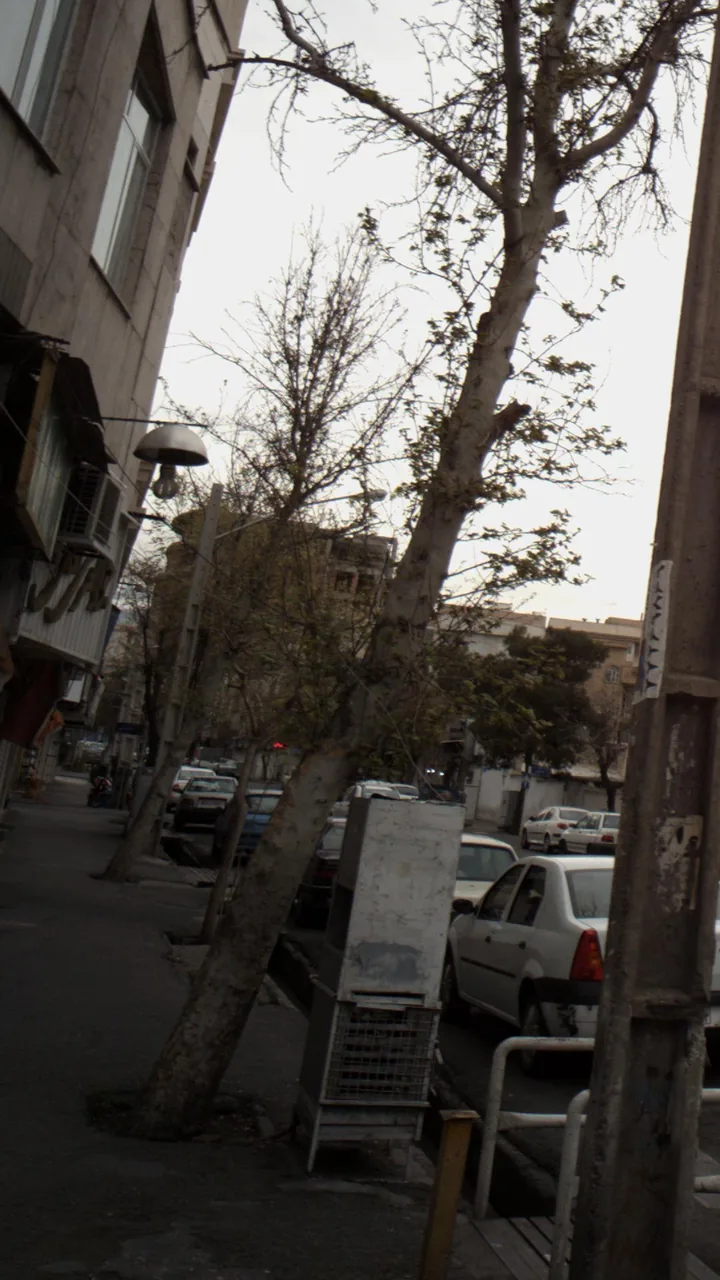 جواهری