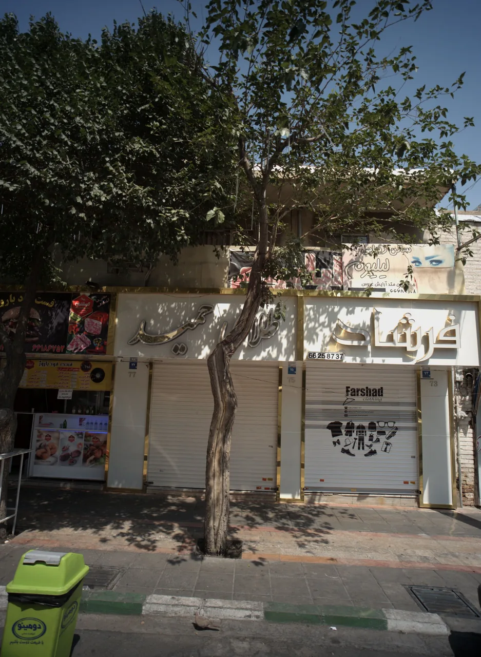 طلای حمید