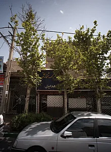 جواهری شقایق