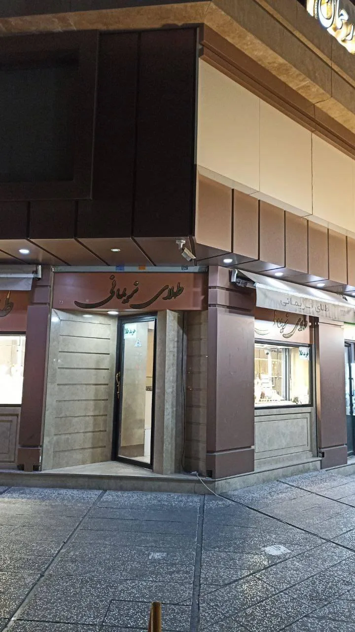 طلای منصور نریمانی - تصویر 2
