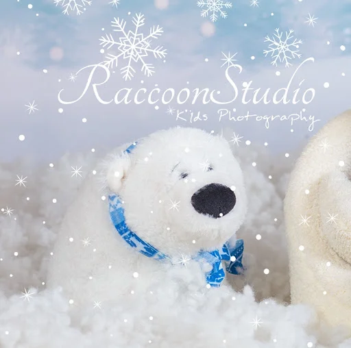 آتلیه عکس راکون