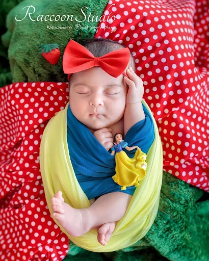 آتلیه عکس راکون - آتلیه عکاسی در تبریز