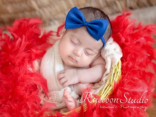 آتلیه عکس راکون - آتلیه عکاسی در تبریز