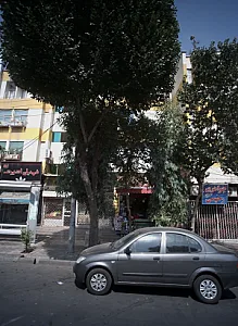 نقره جات سیدی