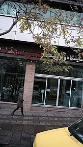 نماینده و فروشگاه فرش سهند