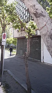 نمایشگاه و فروشگاه فرش کاشان
