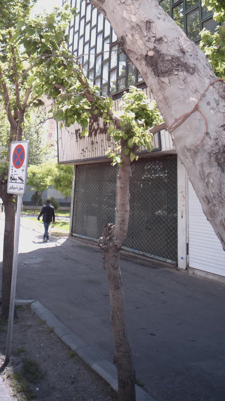 نمایشگاه و فروشگاه فرش کاشان