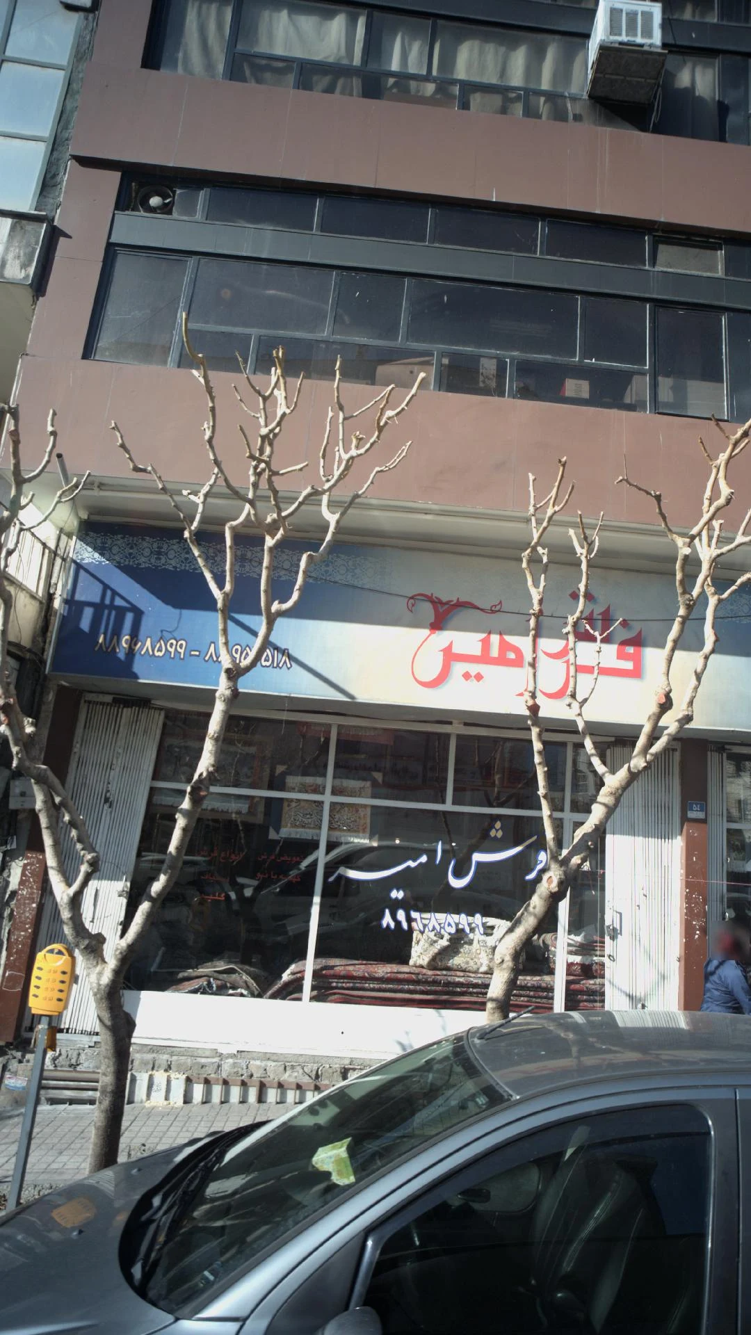 فروشگاه فرش قالی سلیمان - تصویر 2