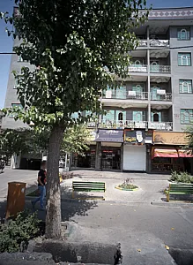 فروشگاه فرش علیمحمدی
