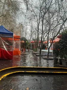 باغچه‌ خانوادگی آبشار